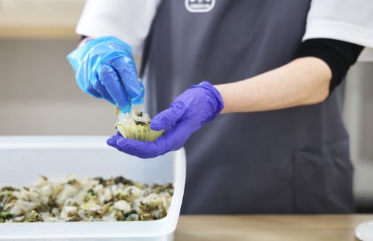 法人向け弁当の製造